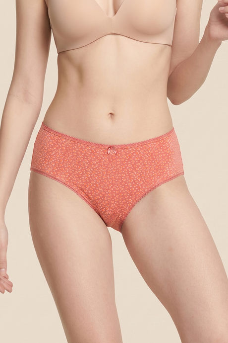 Zivame Regular Rise Full Coverage Hipster Panty (Pack of 3) - Multicolor — image 6